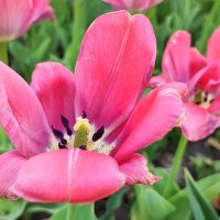 ,,, :: Сергей Тимоновский