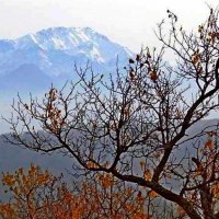 БОЛЬШОЙ ЧИМГАН, 3300м, вид со стороны. :: Виктор Осипчук