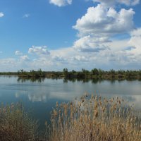 **** :: Виктор 