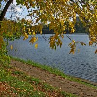 Пруд Люблинский :: Игорь Белоногов