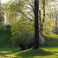 весна идет по городу :: Олег Лукьянов