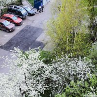 Апрельский вечер. :: Василий Палий