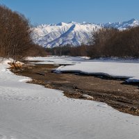 ... :: Жора Житников