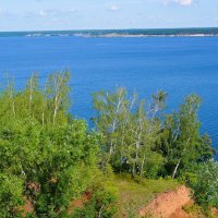 Чебоксары. Берёзки на склонах правого берега Чебоксарского водохранилища. :: Пётр Чернега Чебоксары. Берёзки на склонах правого берега Чебоксарского водохранилища. :: Пётр Чернега