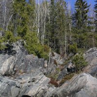 Приморские скалы :: Ольга Приморские скалы :: Ольга