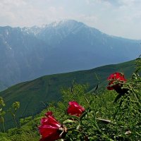 БОЛЬШОЙ ЧИМГАН, 3300м, вид со стороны. :: Виктор Осипчук