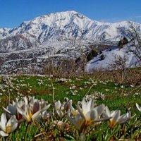 БОЛЬШОЙ ЧИМГАН, 3300м, вид со стороны. :: Виктор Осипчук