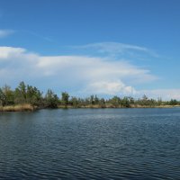 Дон. :: Виктор 