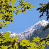 Швейцарские Альпы :: Sergey Grim