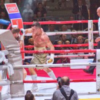 Его Величество Бокс. :: Юрий Яньков