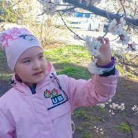 Встреча с весной. :: юрий Амосов