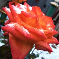 Капризы  природы :: Валентин Семчишин