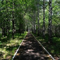 Чебоксары. Сквер им. 50-летия ВЛКСМ летом. :: Пётр Чернега