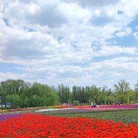 ,,, :: Сергей Тимоновский