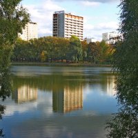 Пруд Садки :: Игорь Белоногов