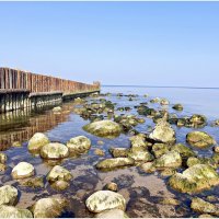 На Балтике. :: Валерия Комова