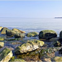 Морской пейзаж. :: Валерия Комова