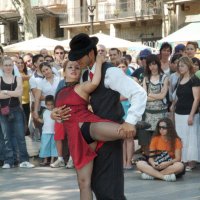 Аргентинское танго :: Владимир Шишкин Аргентинское танго :: Владимир Шишкин