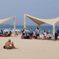 У моря. :: Светлана Хращевская У моря. :: Светлана Хращевская