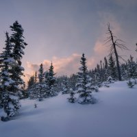 * :: Александр Иванов