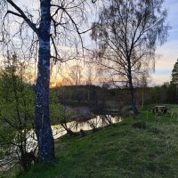 Берёзы у реки :: Денис Бочкарёв