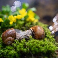 Встреча :: sorovey Sol