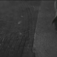 111 (42) :: СТРЕН 