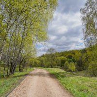Зелёный апрель... :: Владимир Жданов