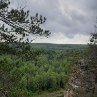 Летний пейзаж :: Ольга 