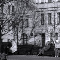 в городском саду :: sv.kaschuk 