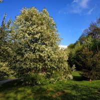 Приметы апреля :: Андрей Лукьянов