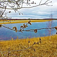 Май...Цветет осина на протоке Чеускина! :: Владимир Май...Цветет осина на протоке Чеускина! :: Владимир