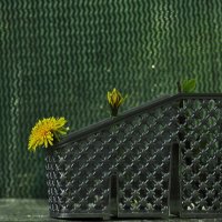 В коробочке :: Юрий Гайворонскiий