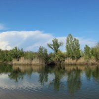 Местные виды. :: Виктор 