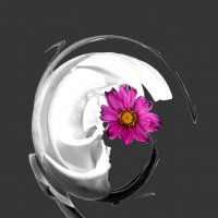 Симбиоз :: Ivan VIKAR