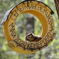 Кормушка :: Павел Трунцев