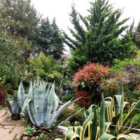 УЮТНЫЙ УГОЛОК :: Tata Wolf