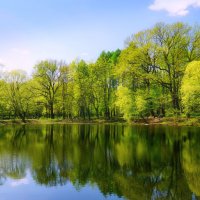 Очарование весны :: Наталья Лакомова Очарование весны :: Наталья Лакомова