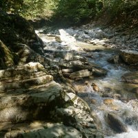 Река Хоста :: Наталия Григорьева