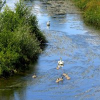 Дети,а это ваш папа :: Юрий. Шмаков Дети,а это ваш папа :: Юрий. Шмаков