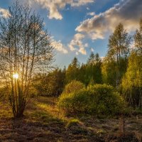 Весенний вечер 2 :: Андрей Дворников