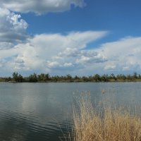 Местные виды. :: Виктор 