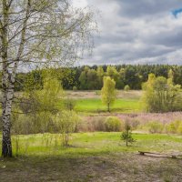 Зелёный апрель... :: Владимир Жданов Зелёный апрель... :: Владимир Жданов