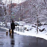 У природы нет плохой погоды... :: Людмила Фил