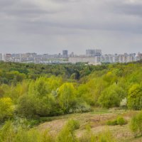 Зелёный апрель... :: Владимир Жданов