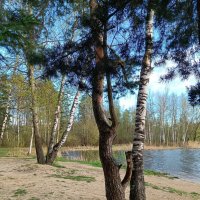Ракурсы весны :: Леонид Иванчук