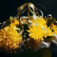 Букет из хризантем. :: Вадим Басов