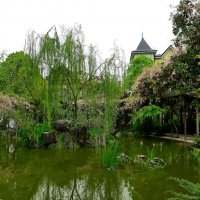 Черепаховое озеро :: Tata Wolf