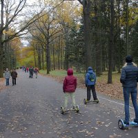 Выезд :: Валерий Пославский