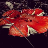 Опасная штука :: Дмитрий Петров Опасная штука :: Дмитрий Петров